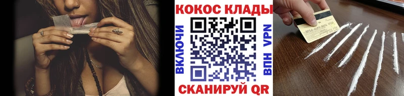 Купить  Александров  Кокаин FishScale 