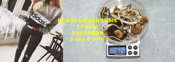 тгк Кулебаки