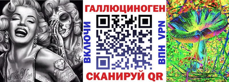 Псилоцибиновые грибы Psilocybe  Купить закладки  Александров 